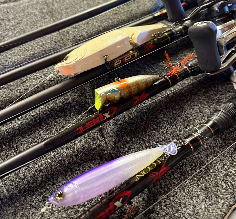 catachingbass-Sponsor001